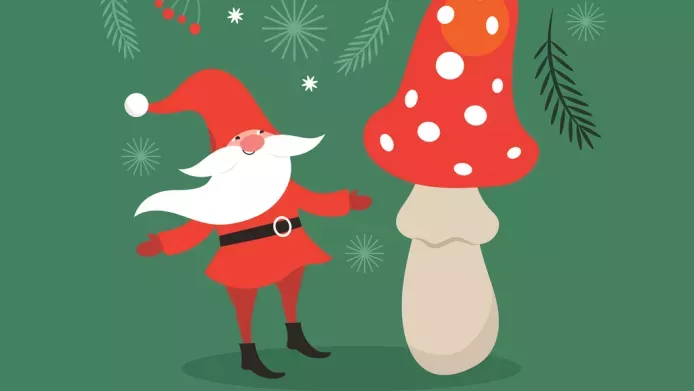 a christmas card cover of father christmas standing next to a red and white fly agaric mushroom