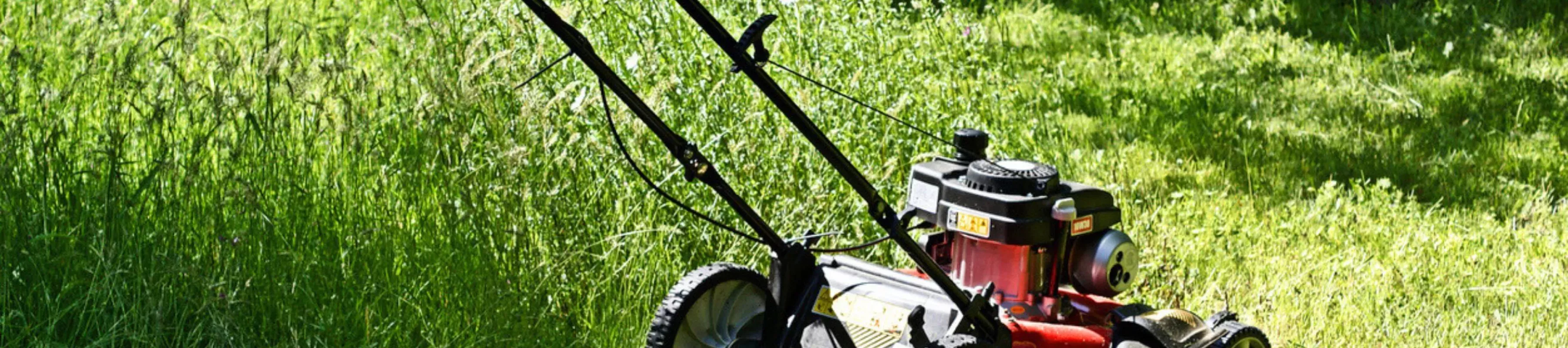 A lawnmower in long grass